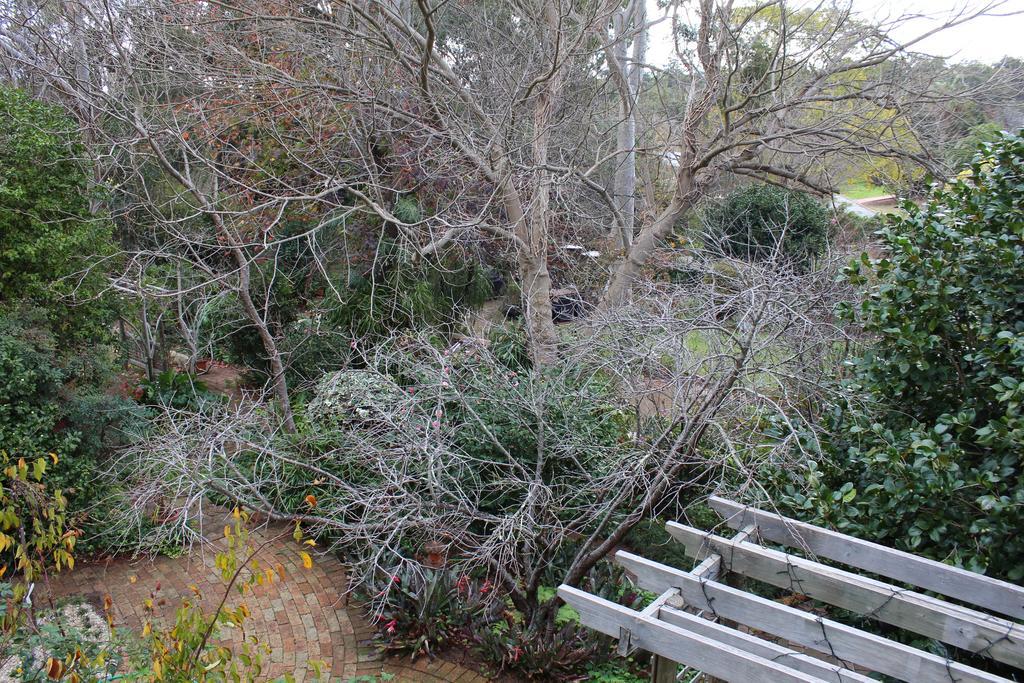 Possum Creek Lodge Gooseberry Hill Quarto foto